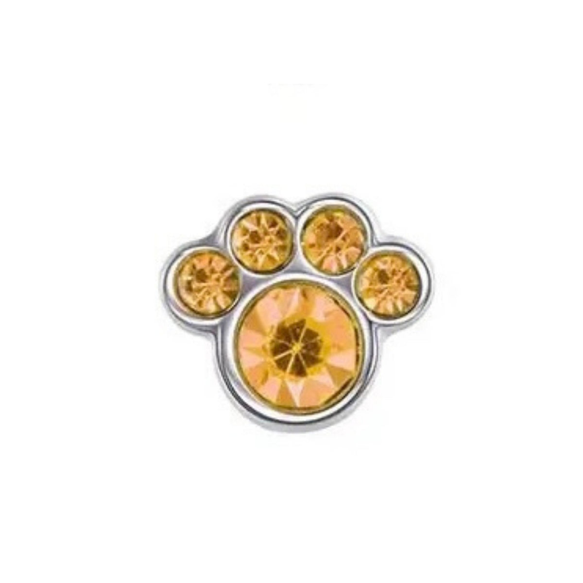 Memory Locket Charm - Paw (topaz) - The Little Jewellery Company